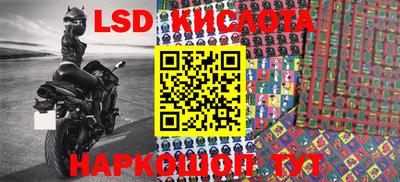 гашик Кинель