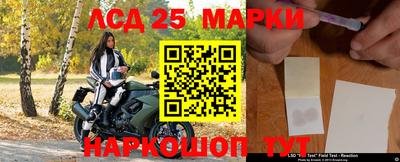 apvp Кимры