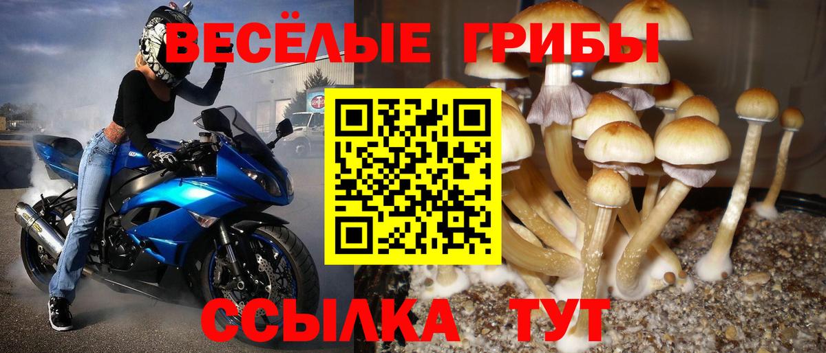Буйнакск  Псилоцибиновые грибы мицелий  Вход с VPN 